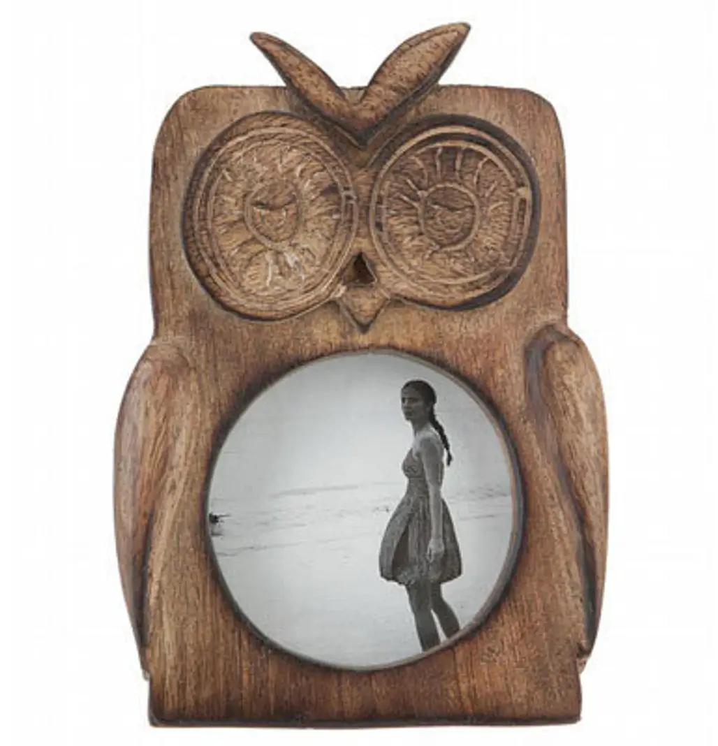 Urban Outfitters Wooden Owl Frame