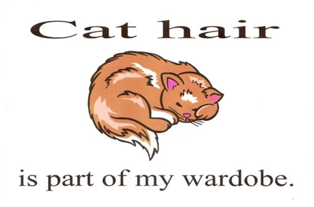 Cat Hair is Part of My Wardrobe