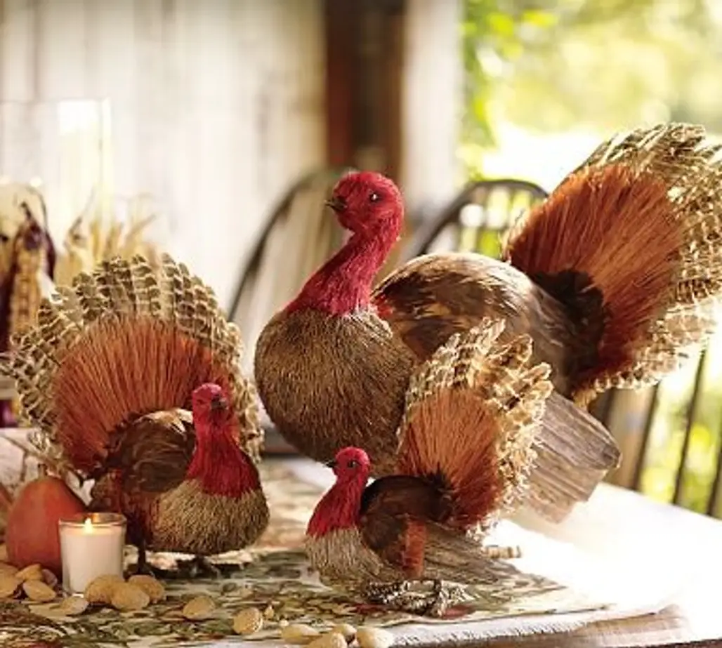 Pottery Barn Feathered Turkeys