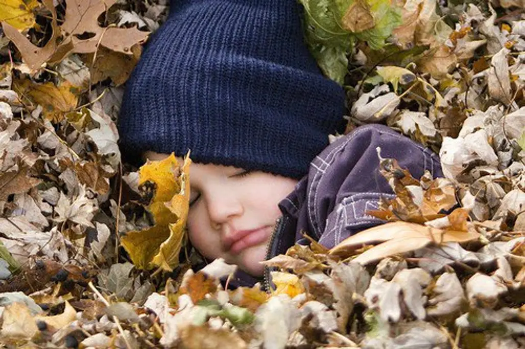 Bed of Leaves