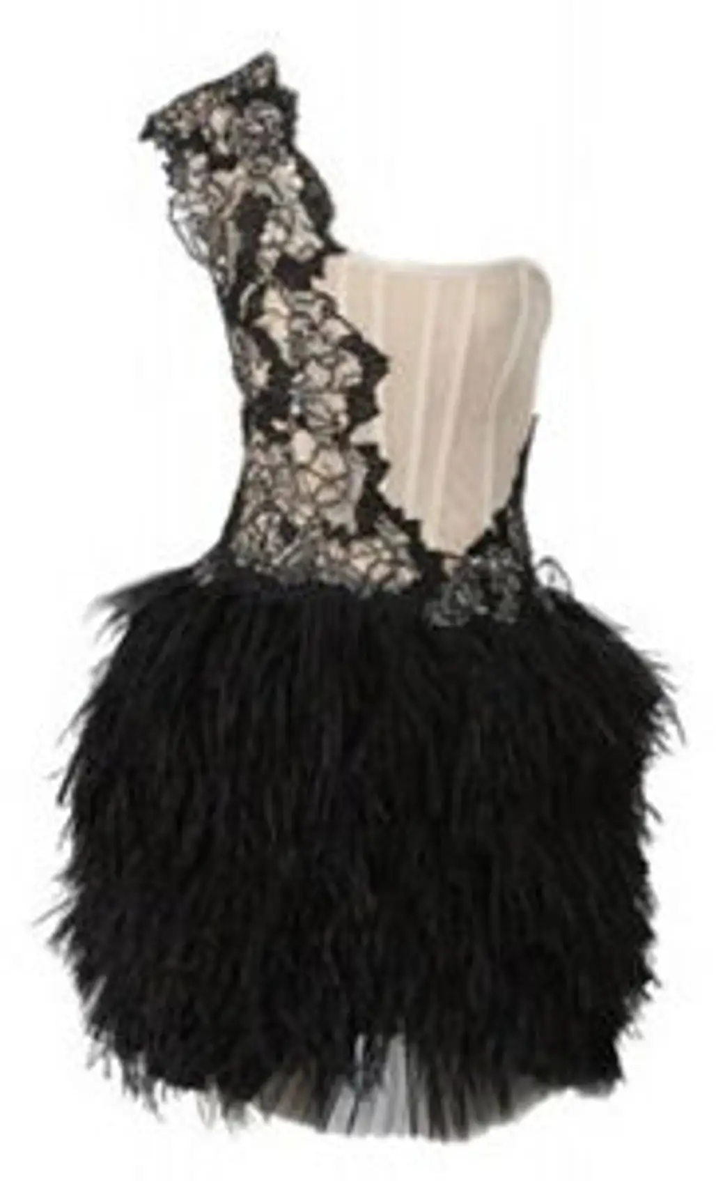 Marchesa One-Shoulder Feather Skirt Embroidered Mini-Dress