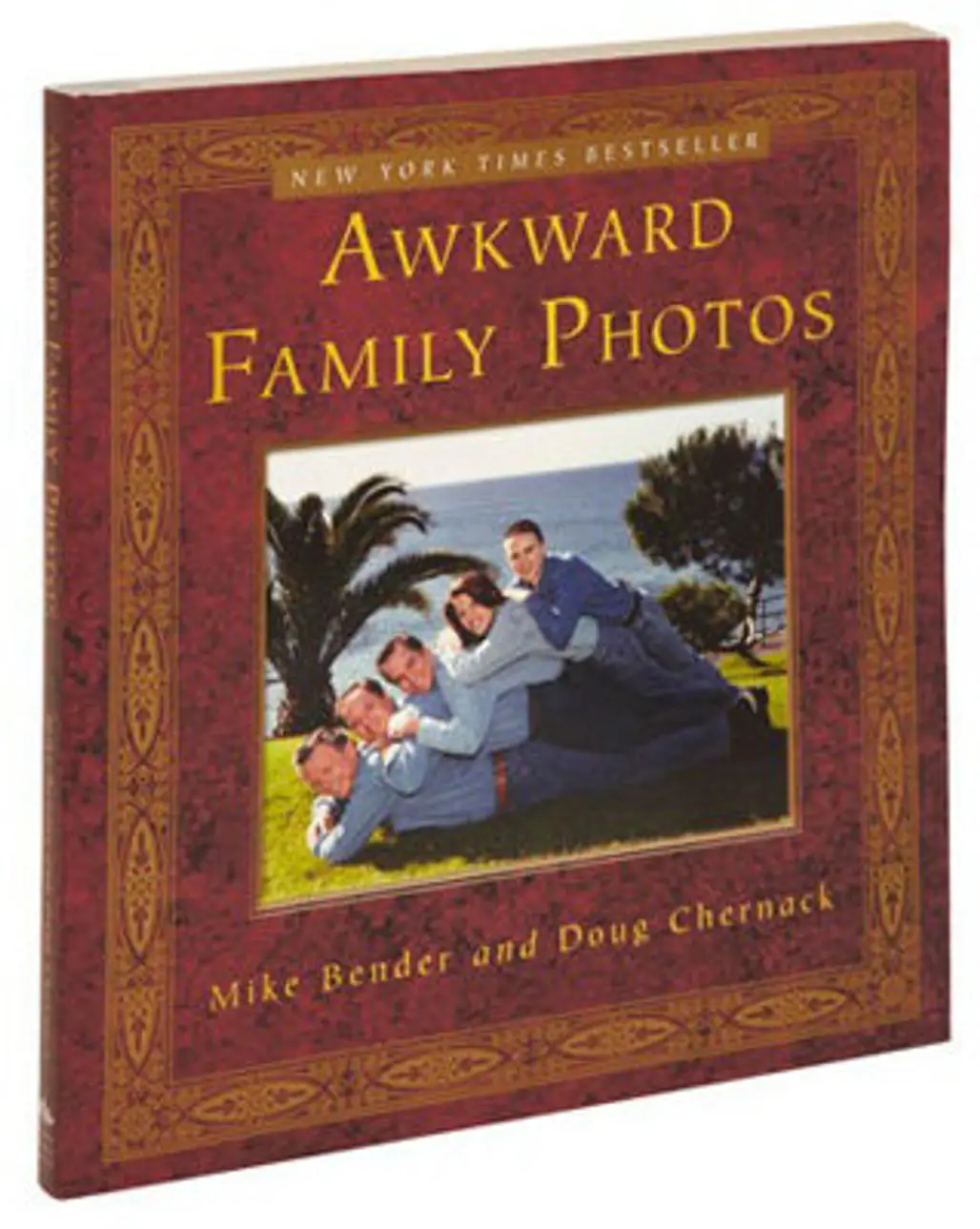 “Awkward Family Photos” by Mike Bender and Doug Chernack