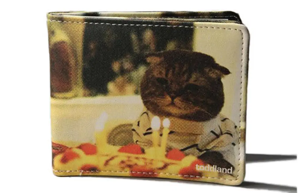 Toddland Kitty Birthday Wallet