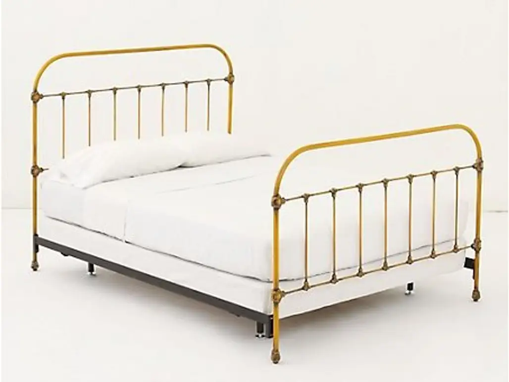 Marigold Bed