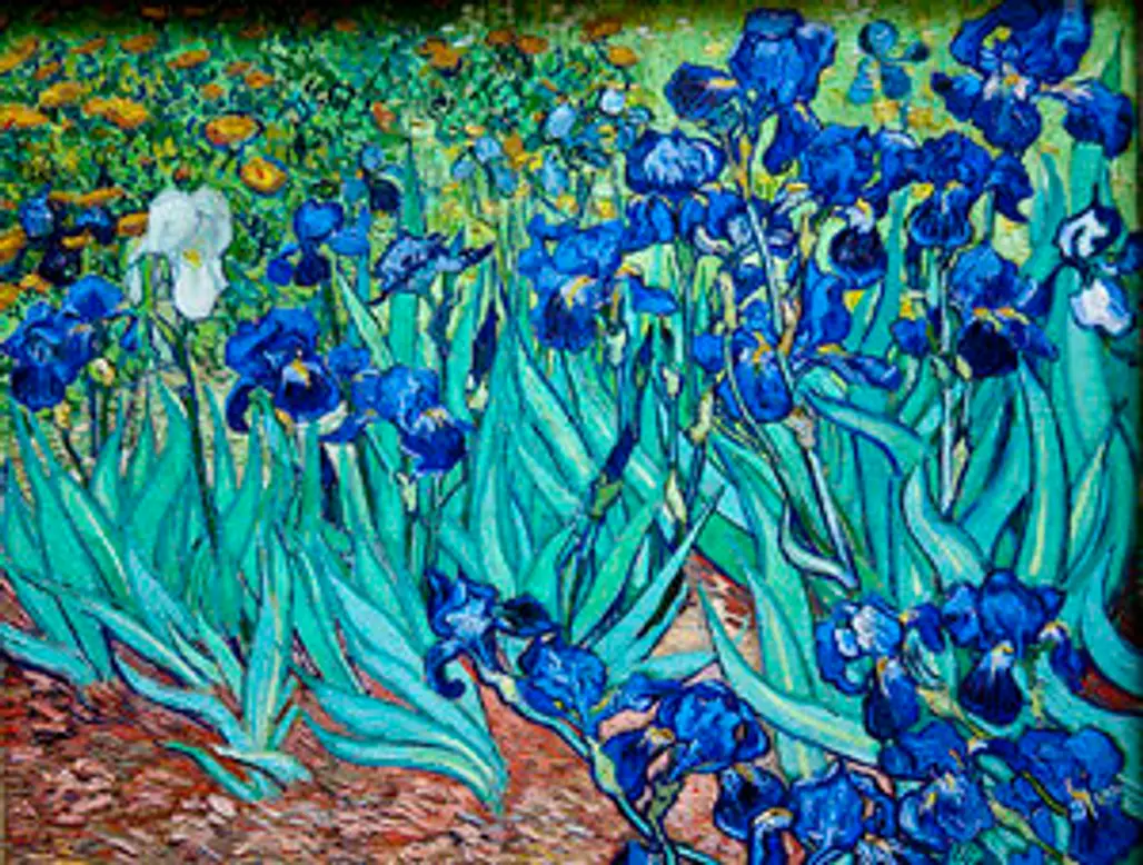 Irises – Vincent Van Gogh