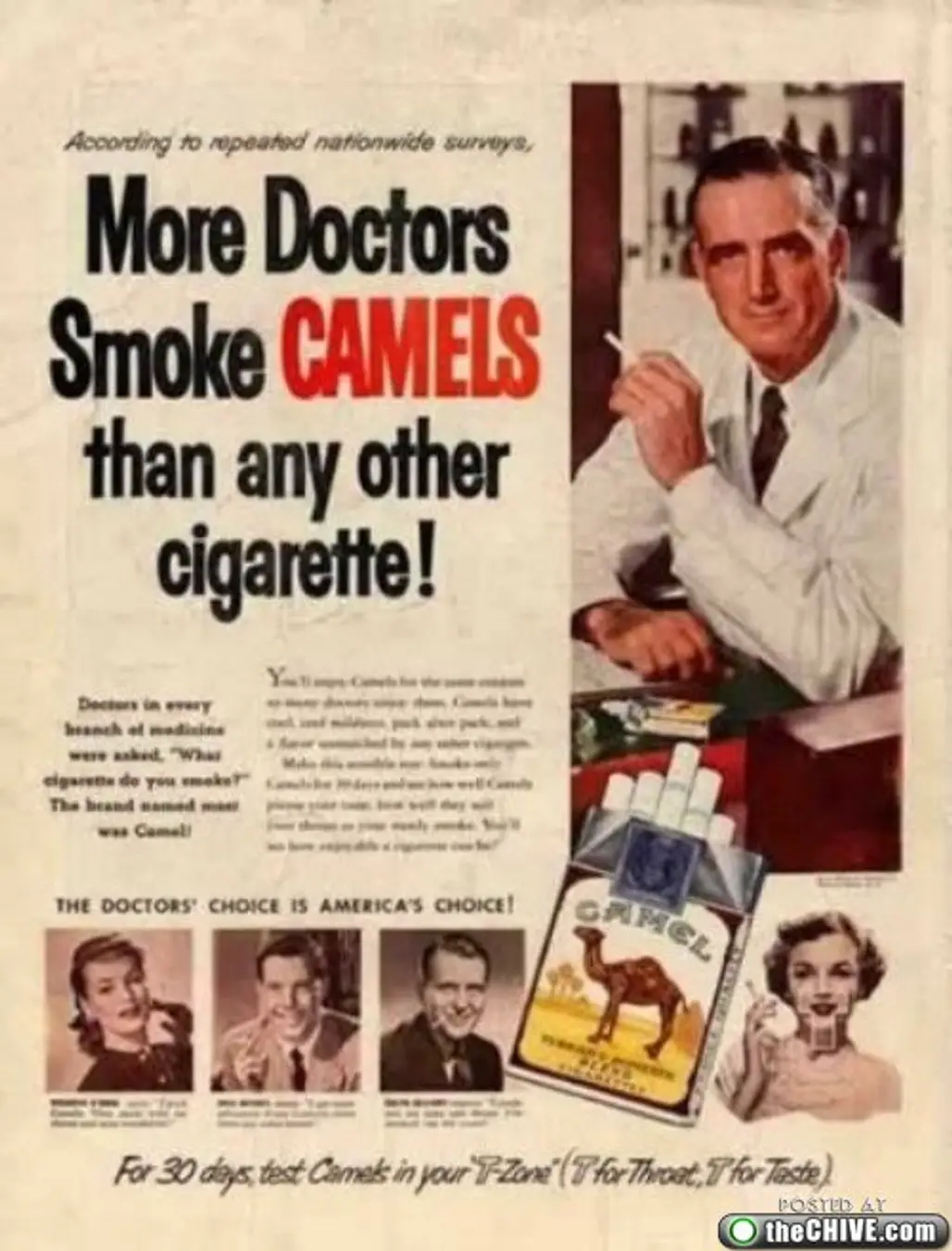 Camels for Doctors