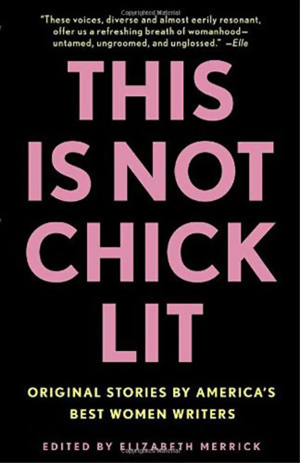 This is Not Chick Lit by Elizabeth Merrick
