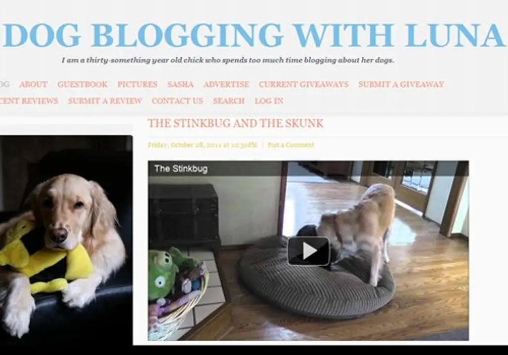 Dog Blogging with Luna