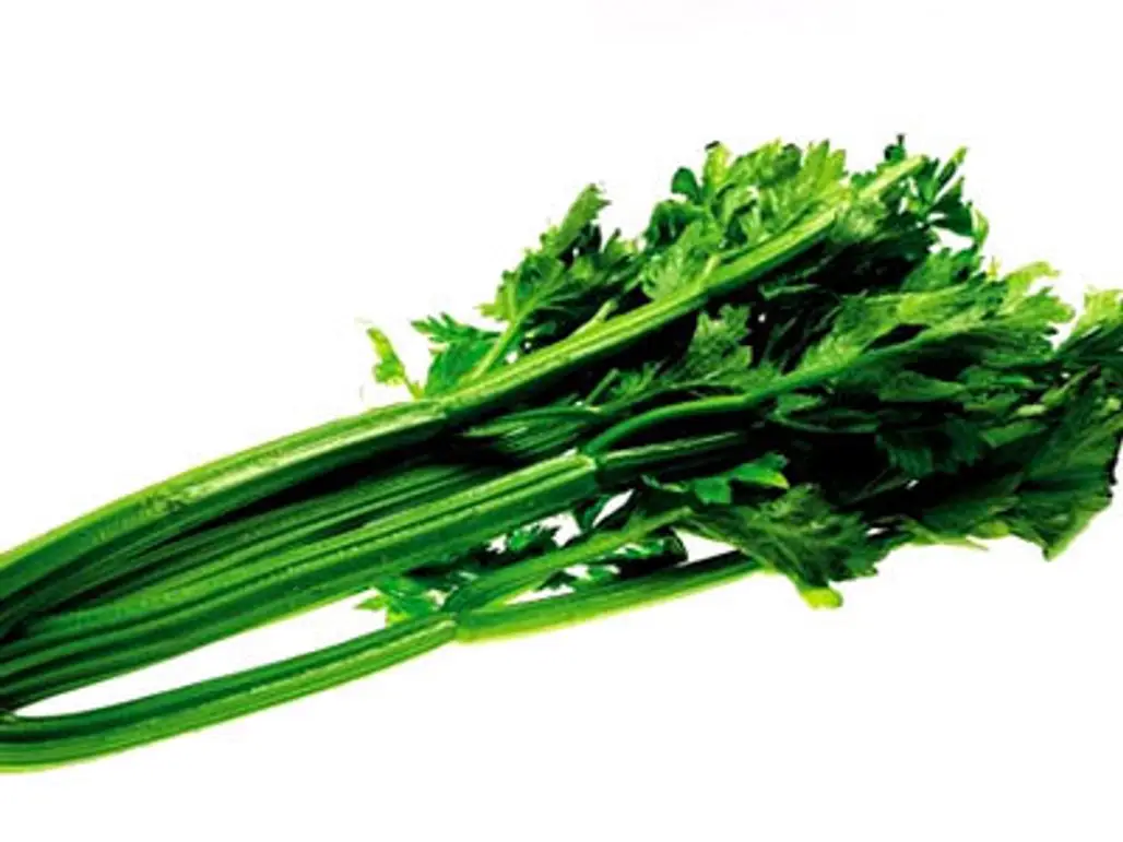 Celery ...