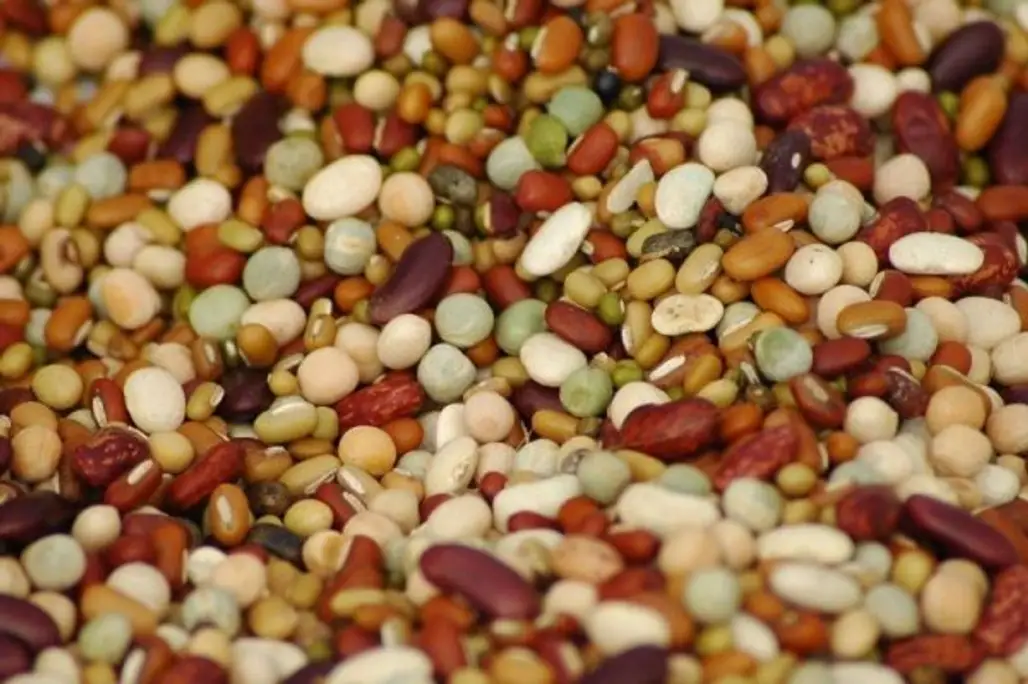 Beans & Lentils