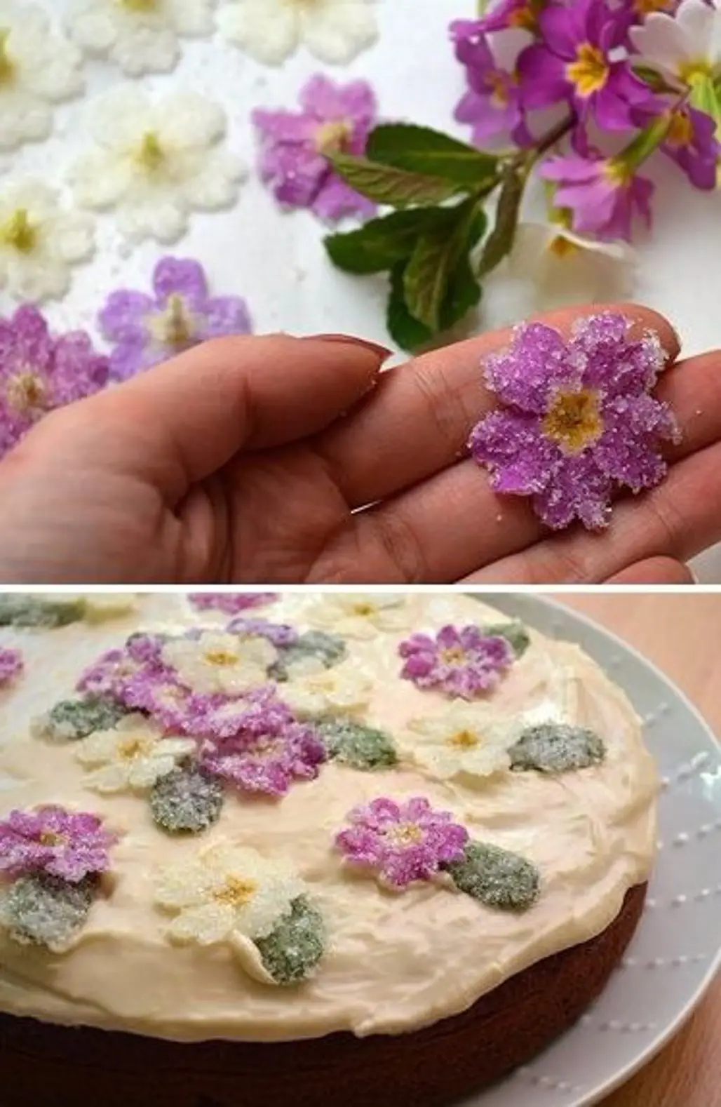 How to Crystallize Edible Flowers for Cakes and Desserts