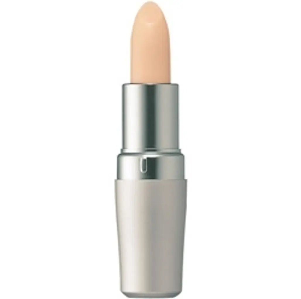 Shiseido the Skincare Protective Lip Conditioner