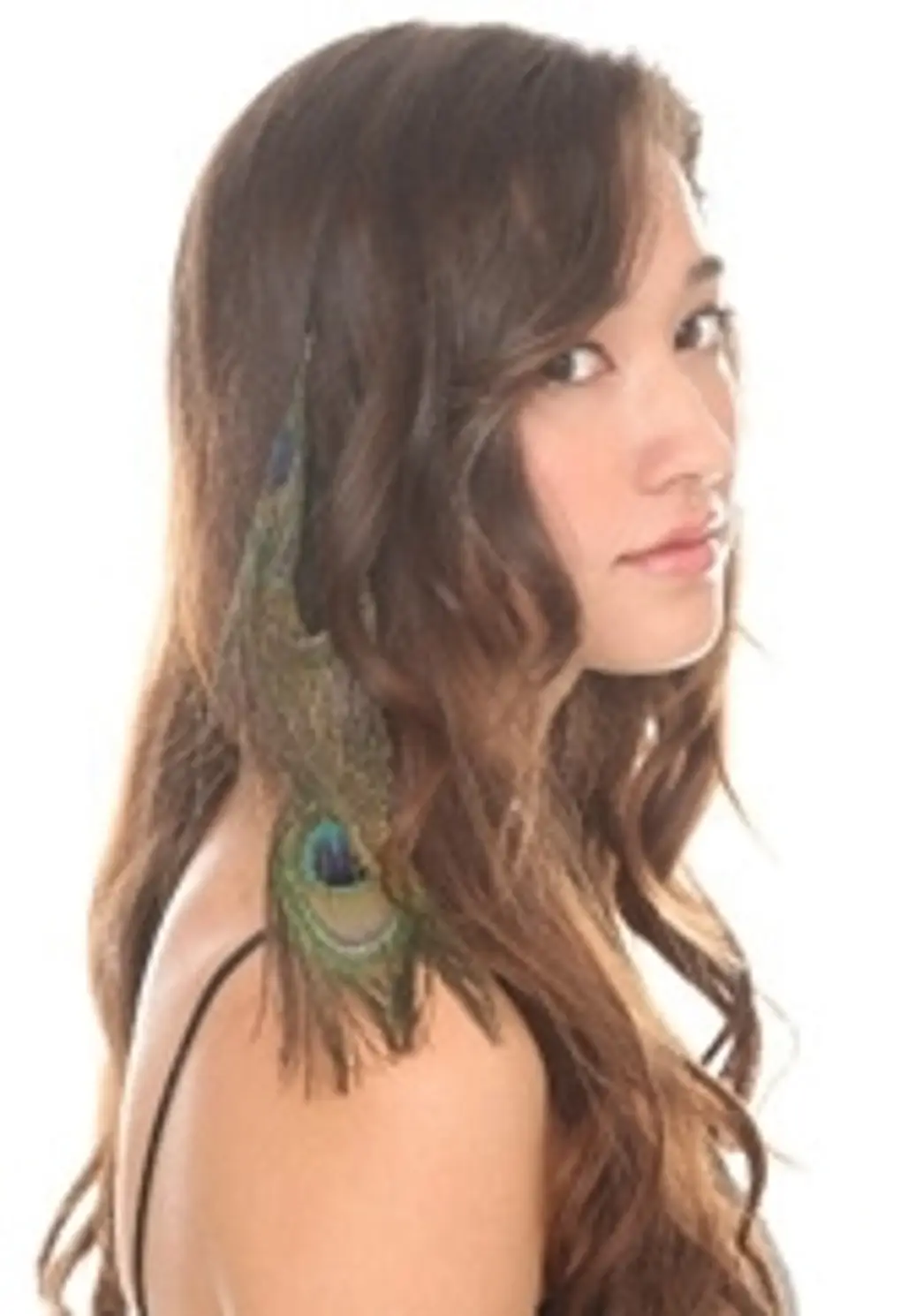 Peacock Feather Hair Extensions
