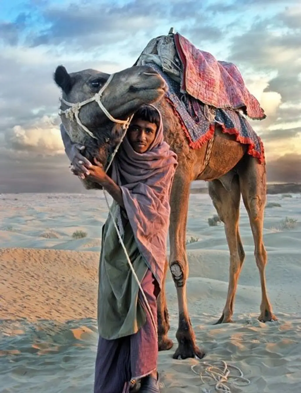 Sand Dunes, the Desert of Rajasthan