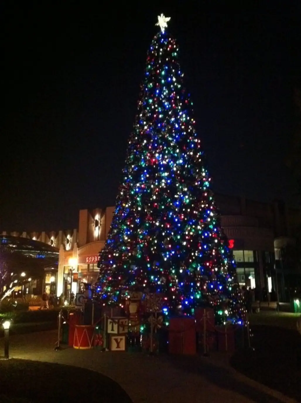 The Christmas Tree Lighting