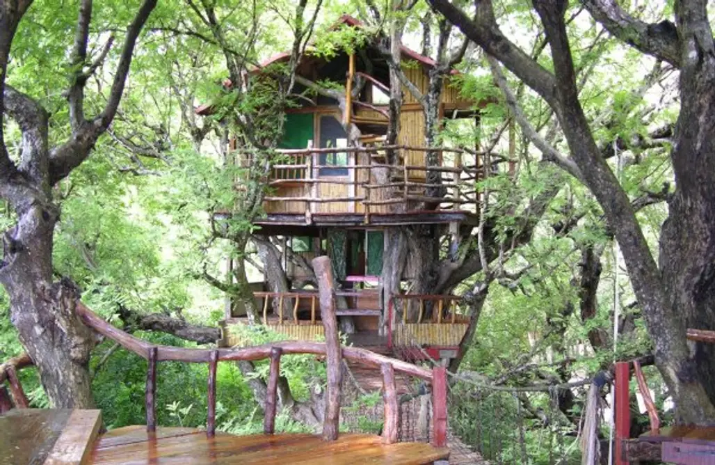 Sanya Nanshan Treehouse, Jiangsu, China