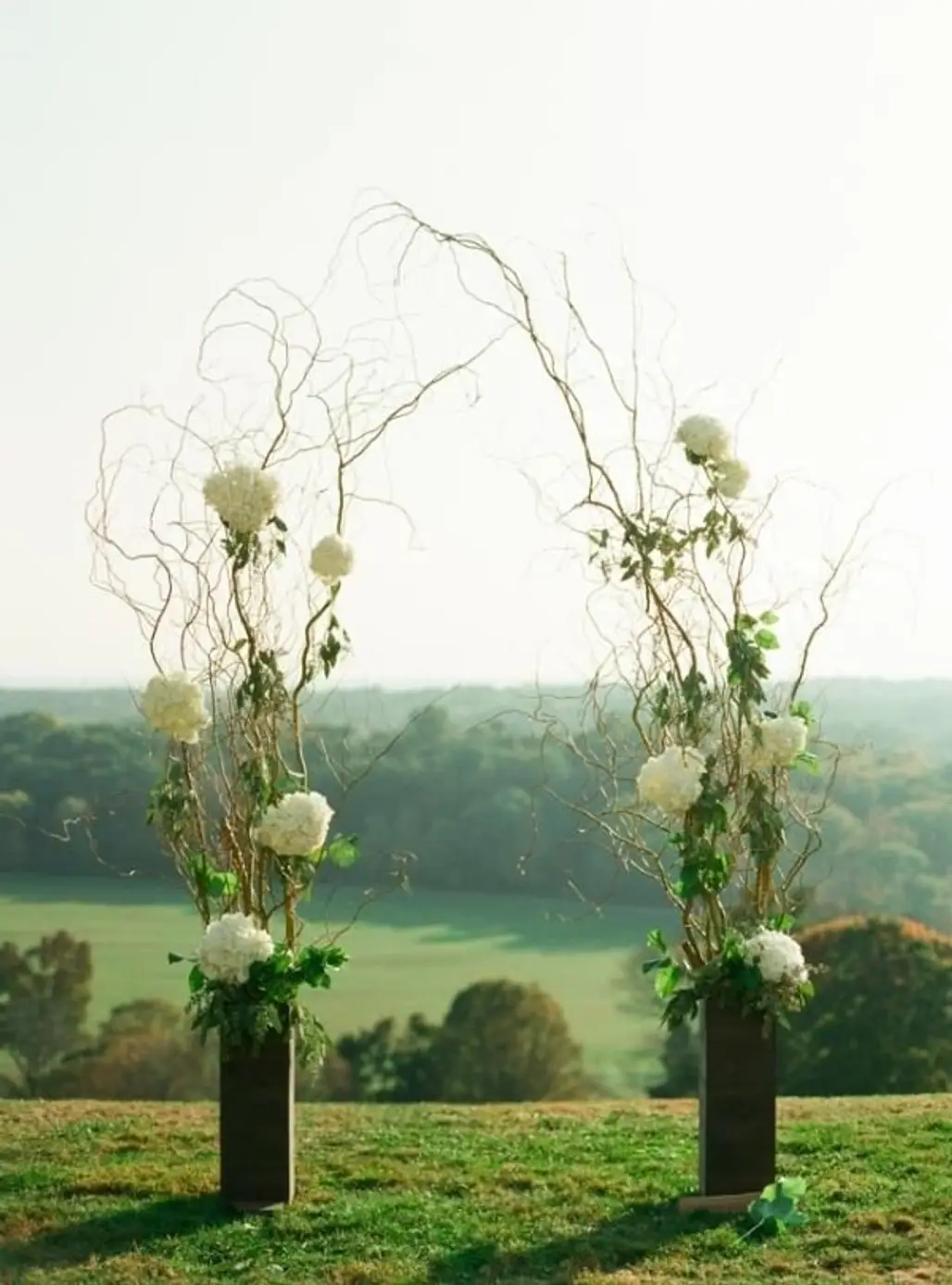 Branch and Hydrangea Wedding Arch