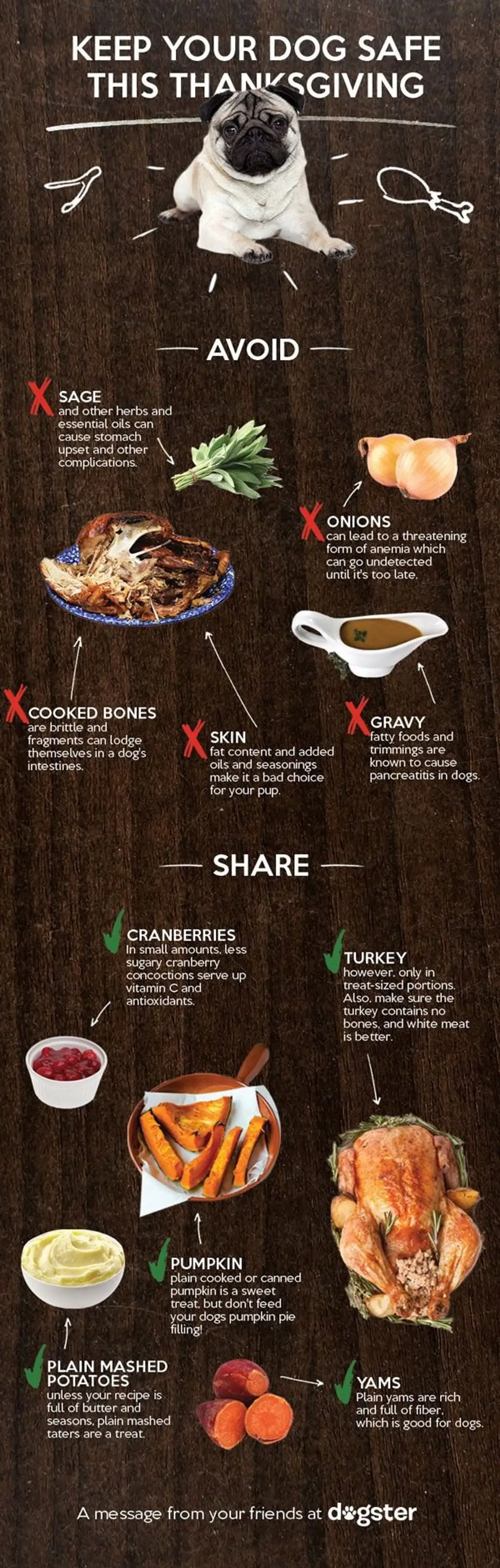 Which Thanksgiving Foods Are Okay to Give Your Dog?
