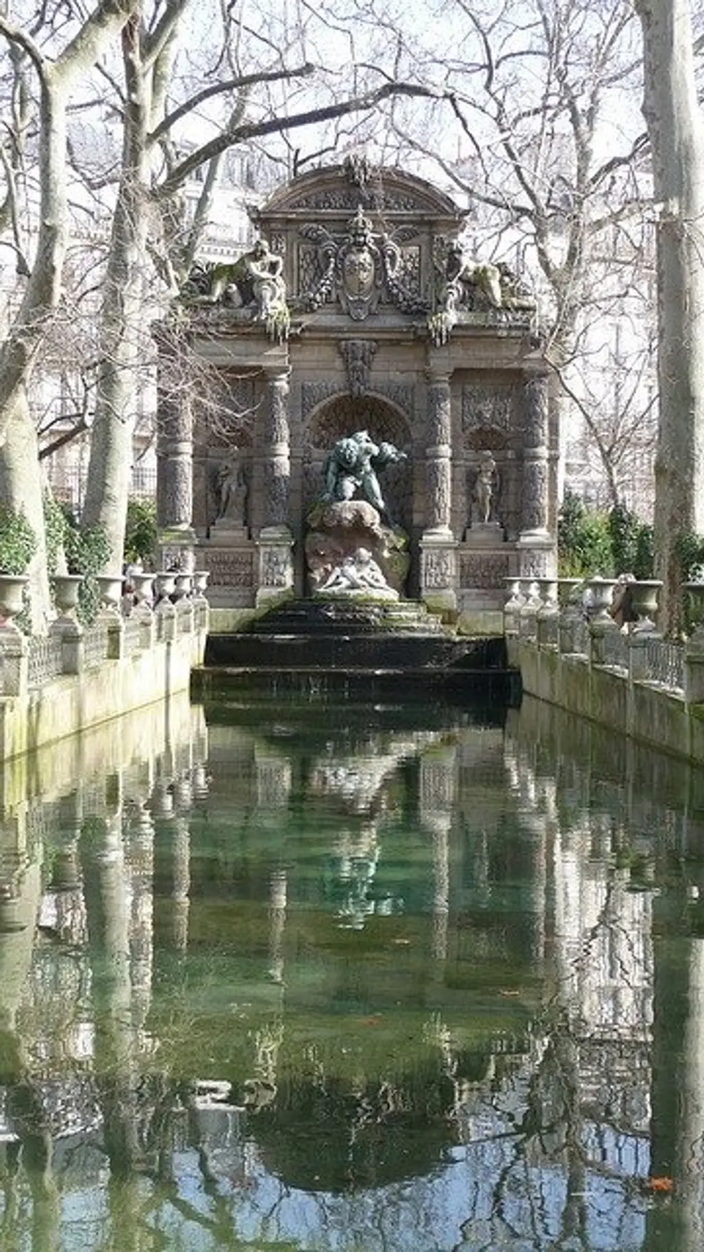 Luxembourg Gardens,tree,reflection,reflecting pool,pond,