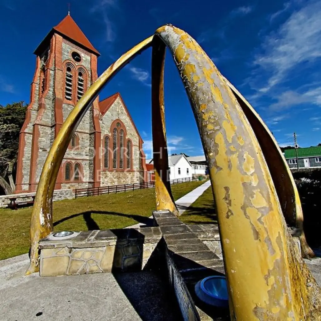 The Christ Church Cathedral and the Whalebone Arch