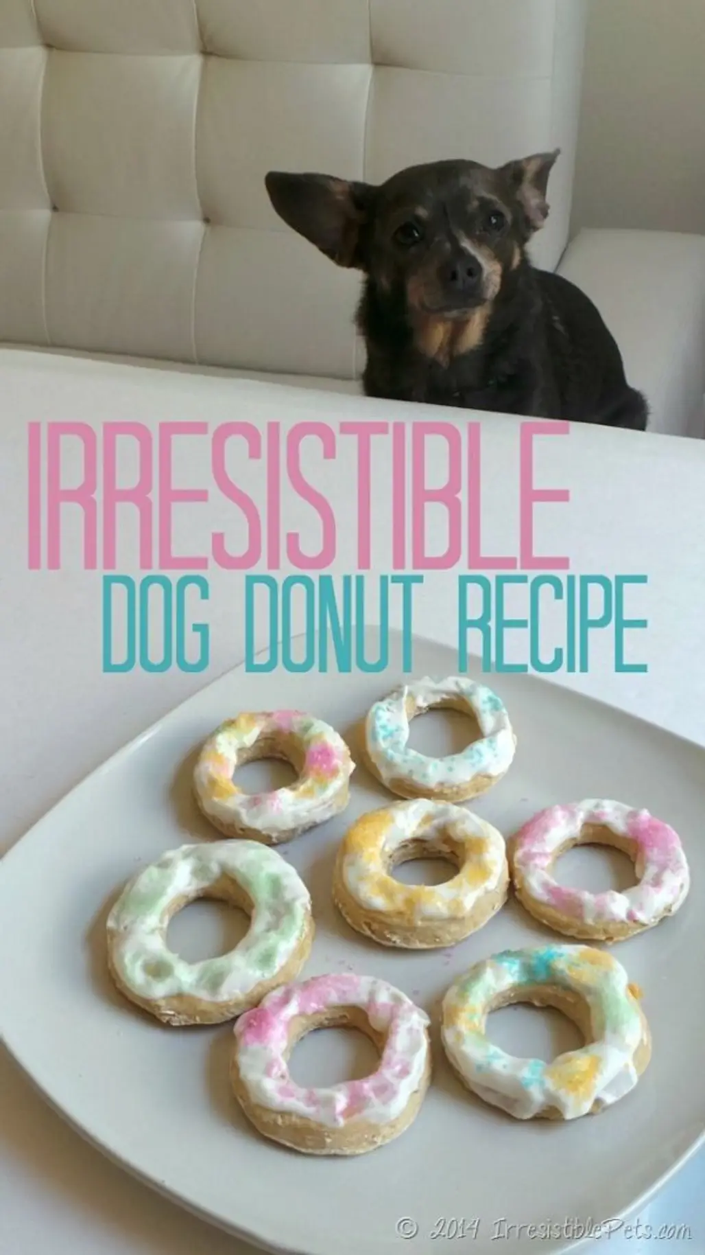 Irreisistible Dog Donut Recipe