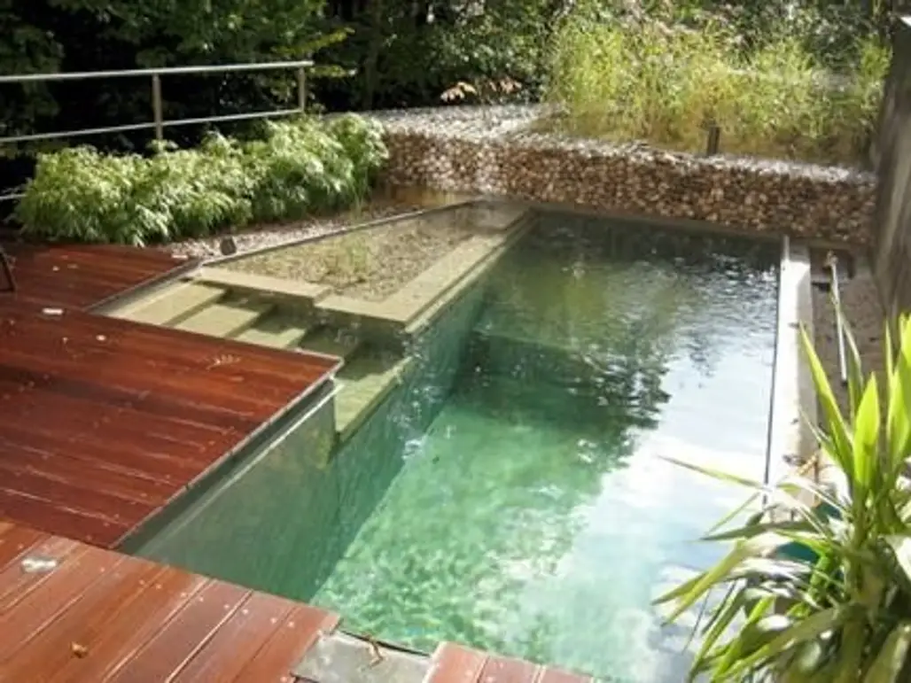 Eco-Friendly Natural Swimming Pool