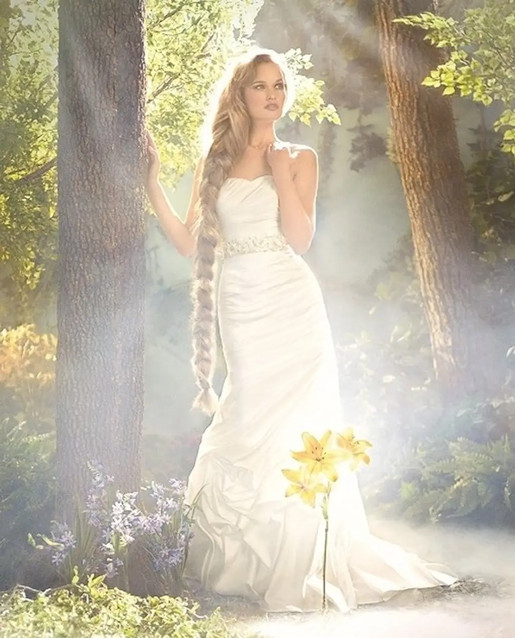 The Fairy Tale Wedding