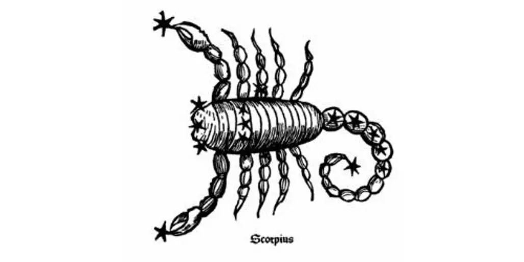 cartoon, invertebrate, sketch, drawing, scorpion,