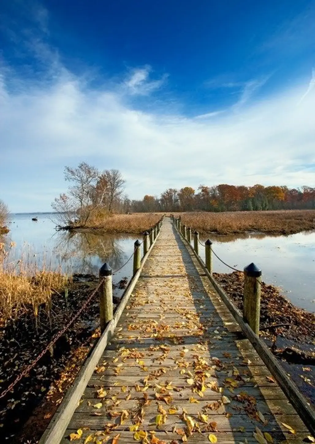 Maryland – Piscataway National Park