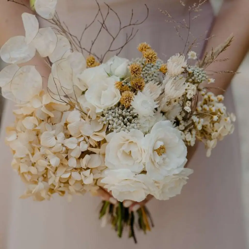 Bouquet, White, Flower, Cut flowers, Plant,