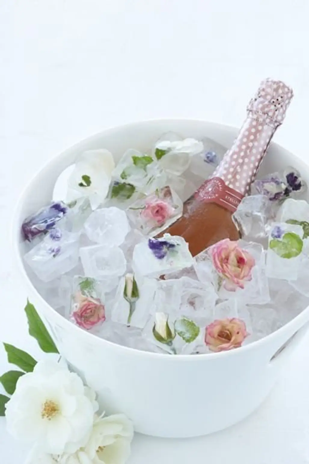 Roses Frozen in Ice Blocks to Keep the Champagne Cold
