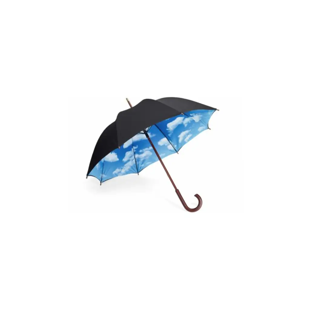 Designer Umbrella with Perfect Day Sky Print inside