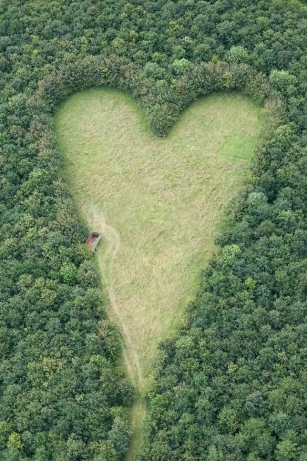 A Heart-shaped Meadow