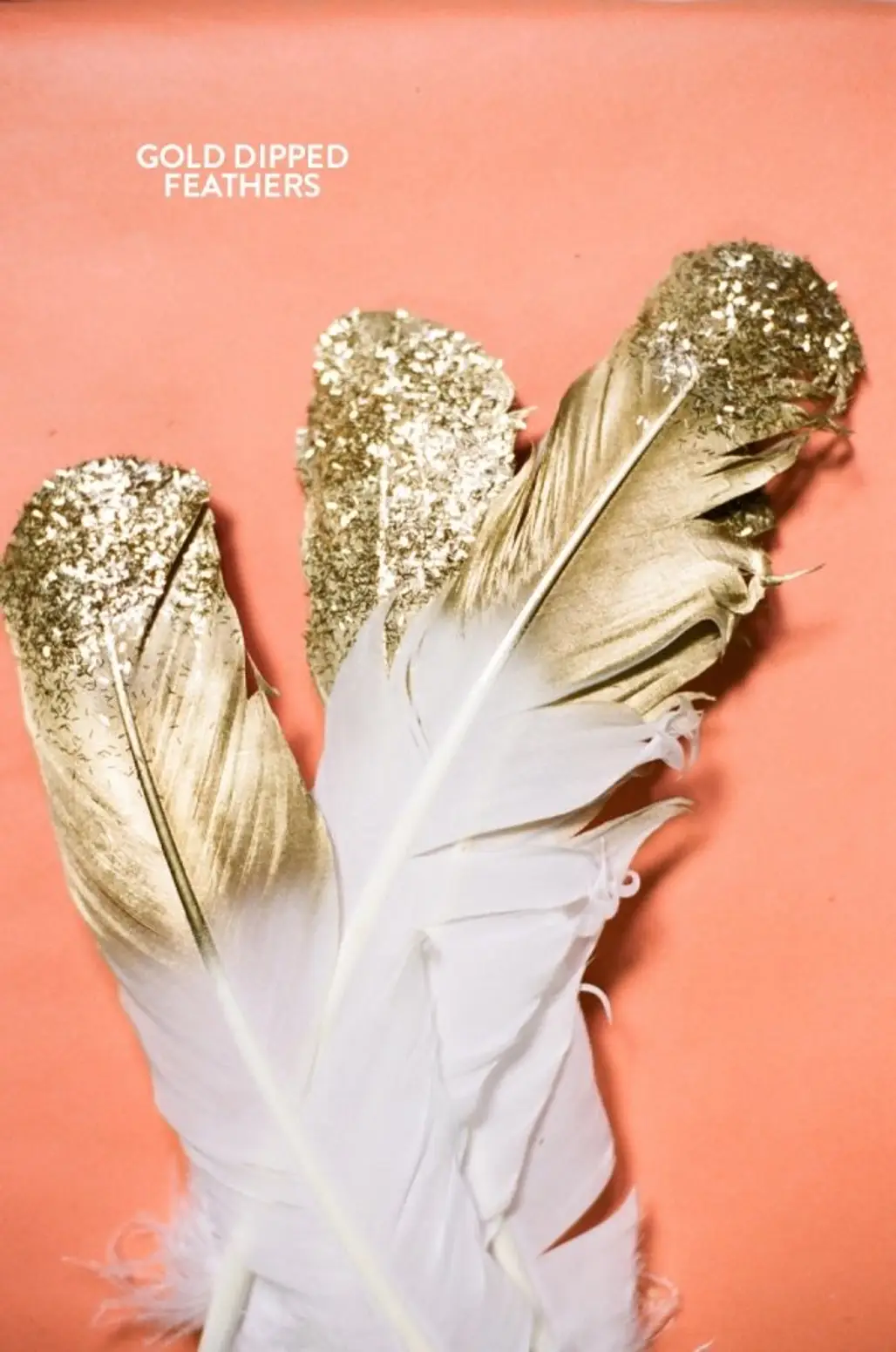 Gold Dipped Glitter Feathers