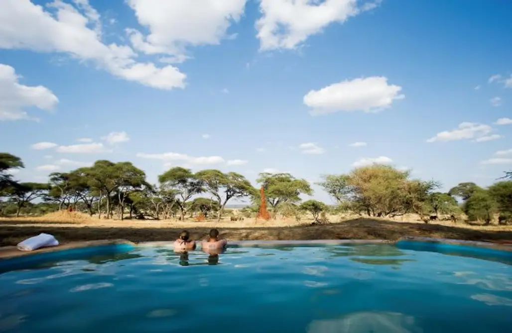 Sanctuary Swala Camp, Tanzania's Swimming Safari