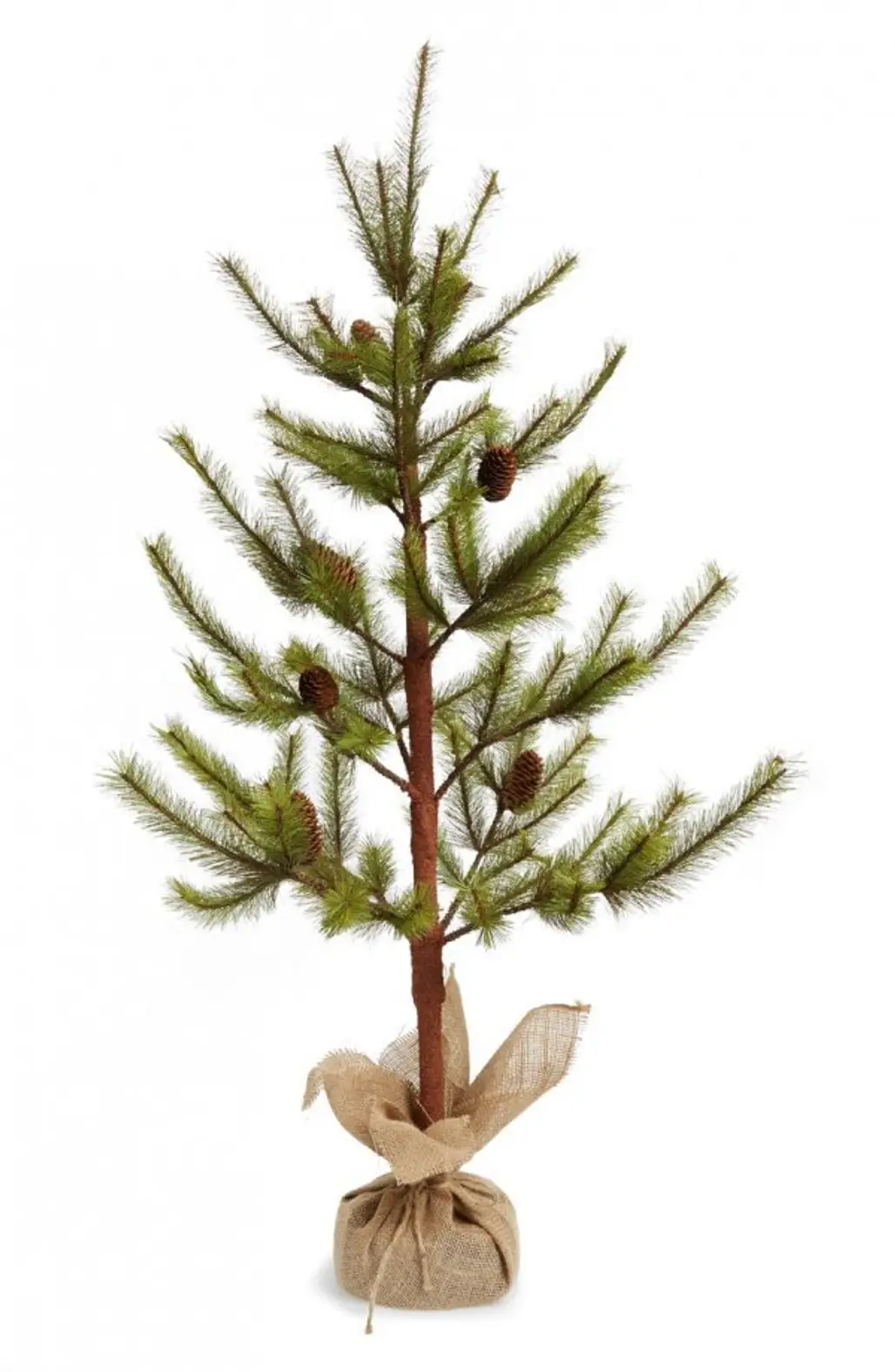 tree, spruce, pine family, flowerpot, fir,