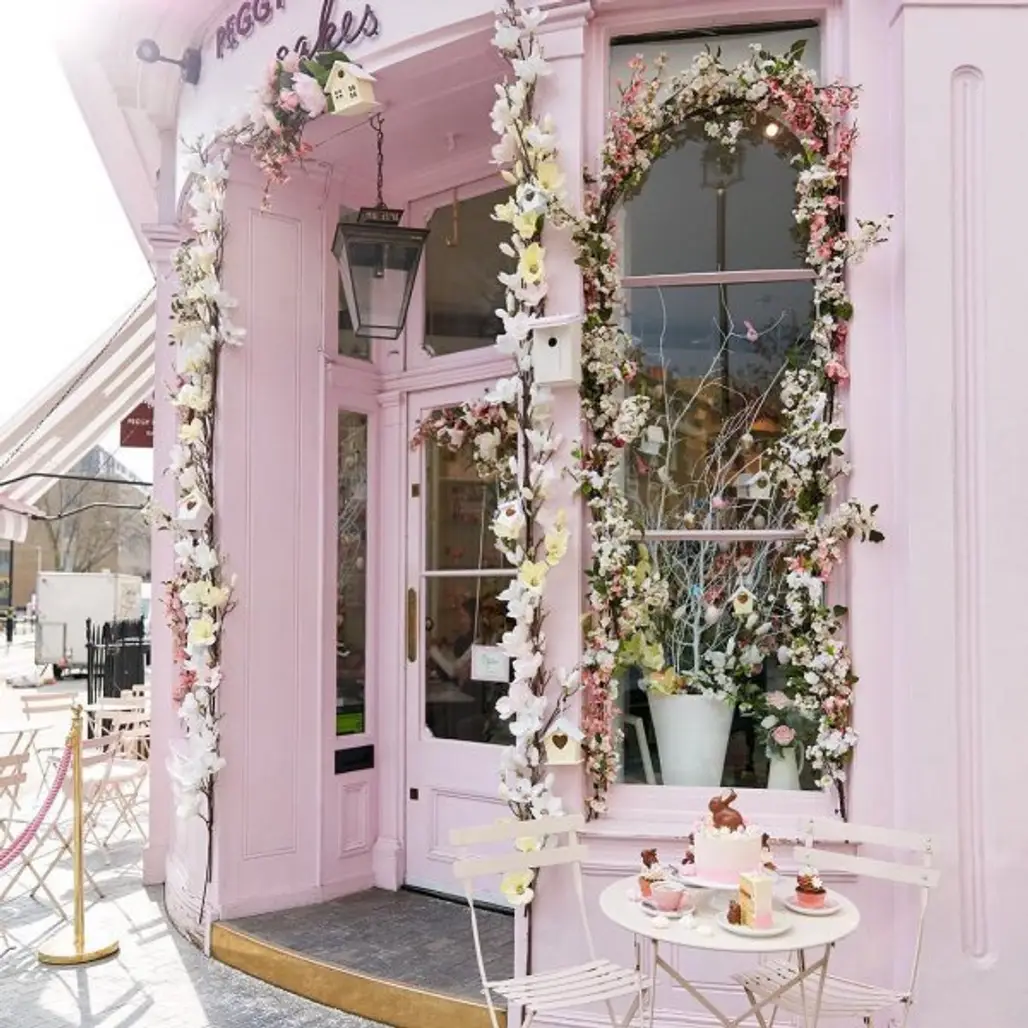 pink, home, window, flower, floristry,