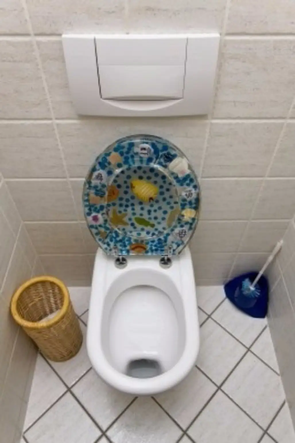 And if You Feel so Inclined - Lift the Toilet Seat 3740 Times!