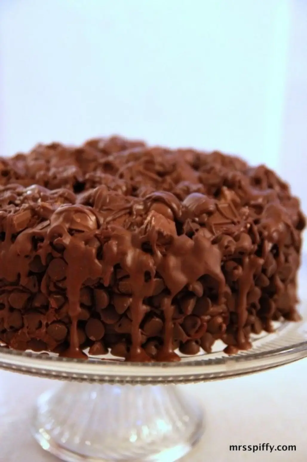 Chocolate Wasted Cake