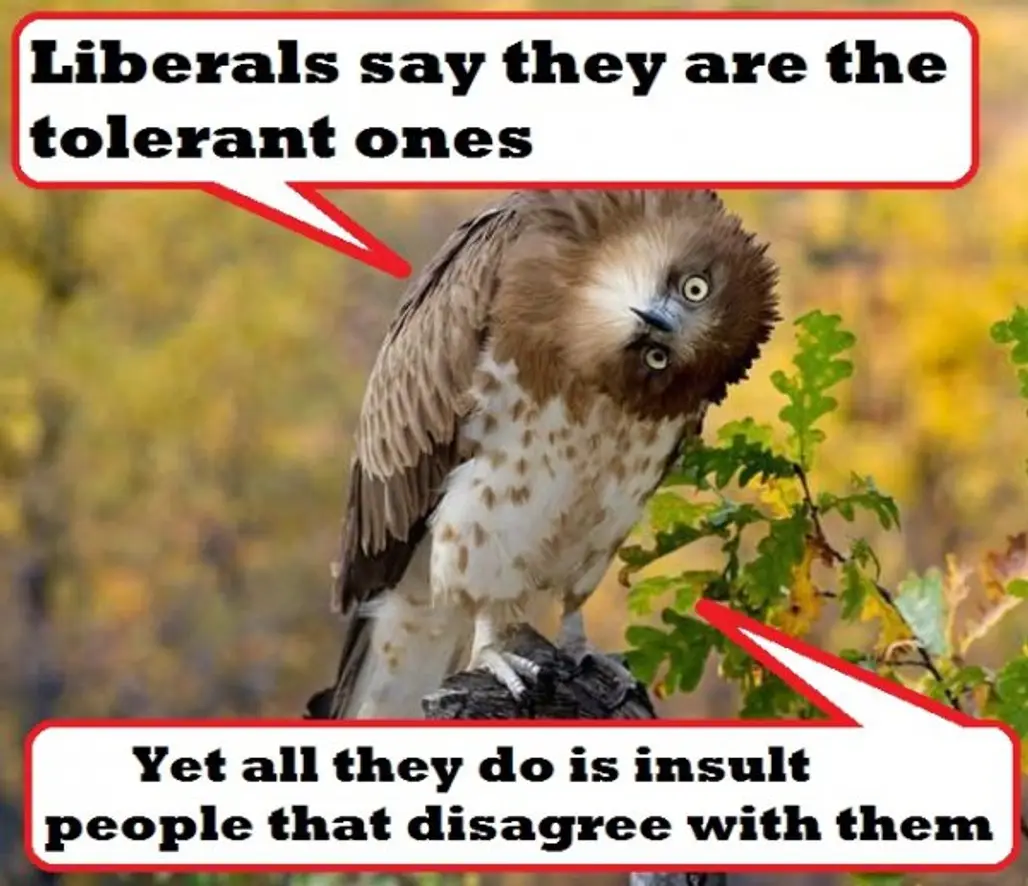 The Liberal Eagle
