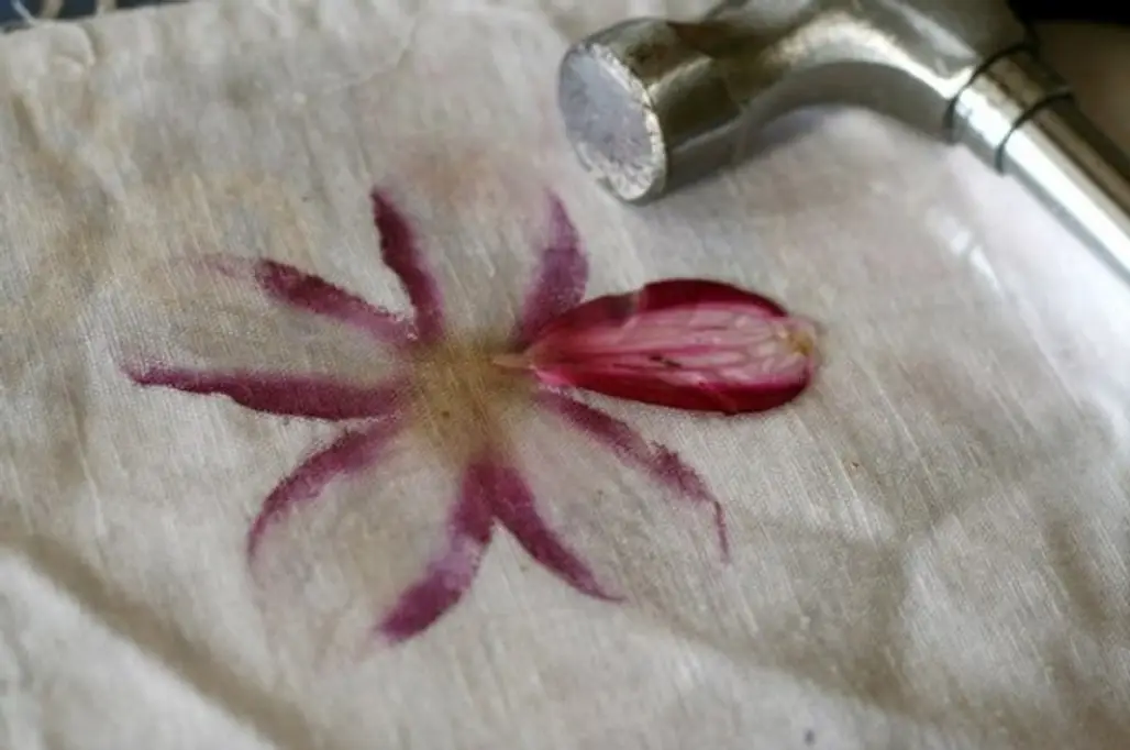 You'll Be Amazed How You Can Transfer the Natural Dyes from Fresh Flowers and Leaves to Fabric