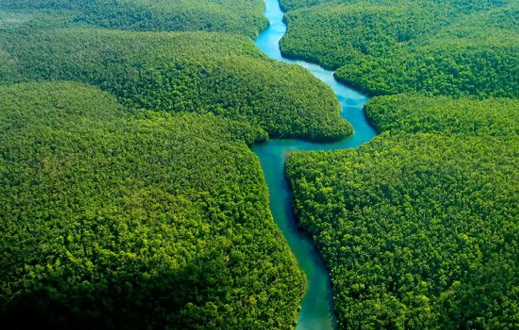 A Trek through the Peruvian Amazon