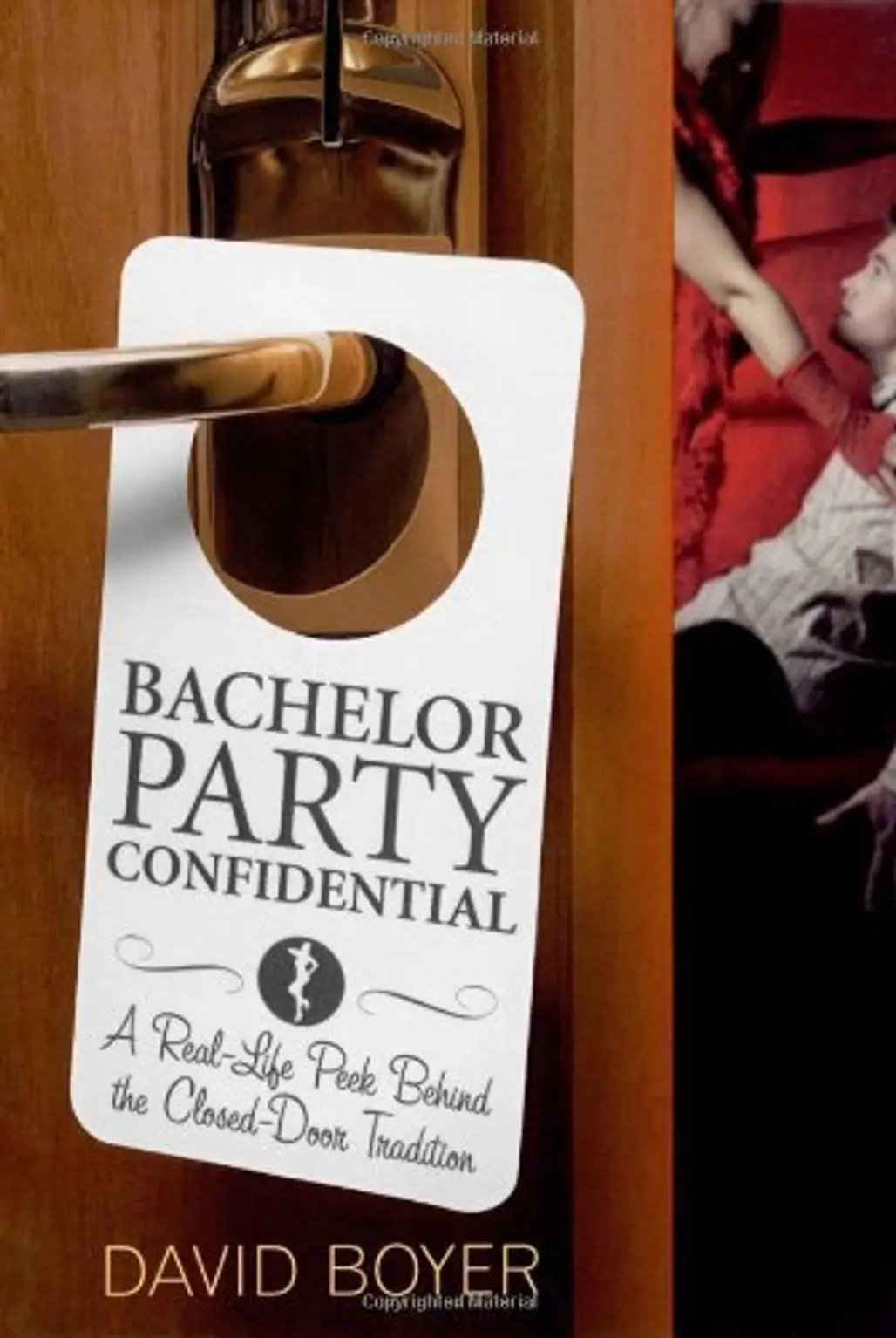 Bachelor Party Confidential by David Boyer