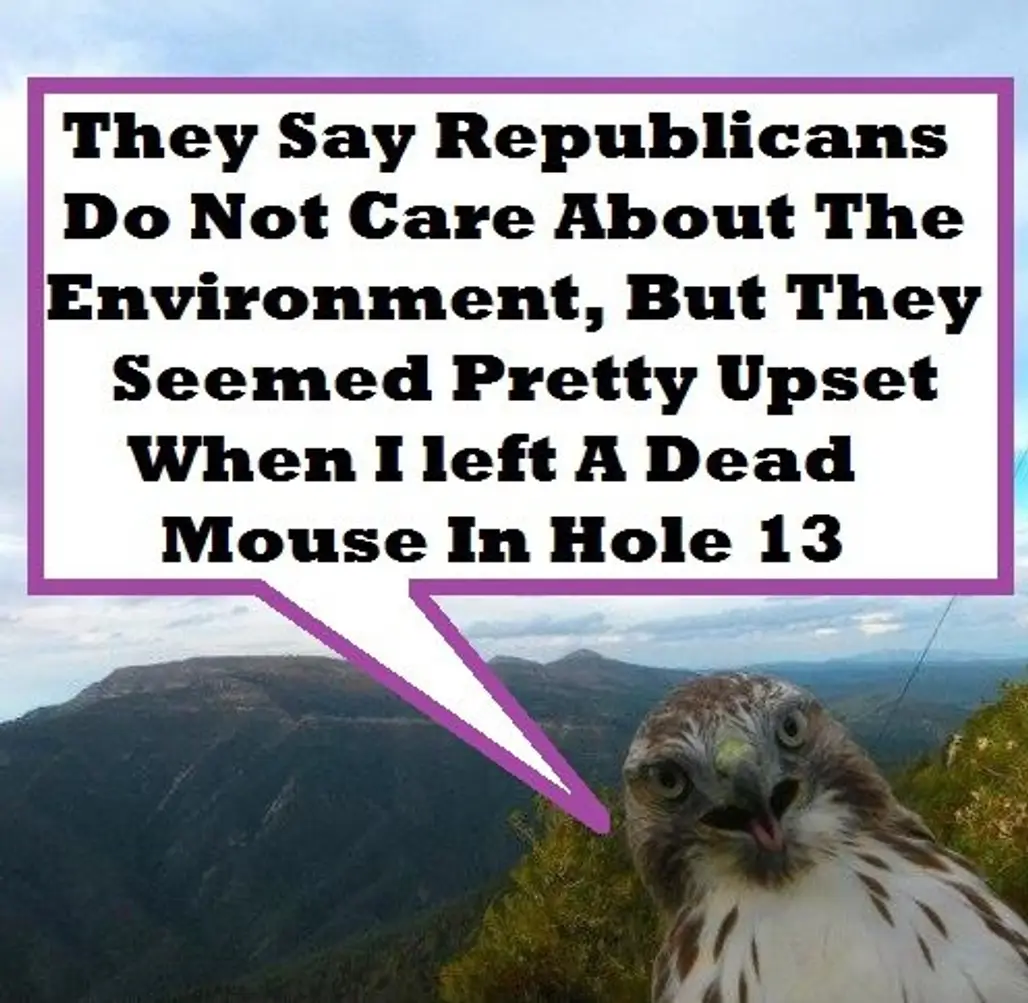 Republican Eagle