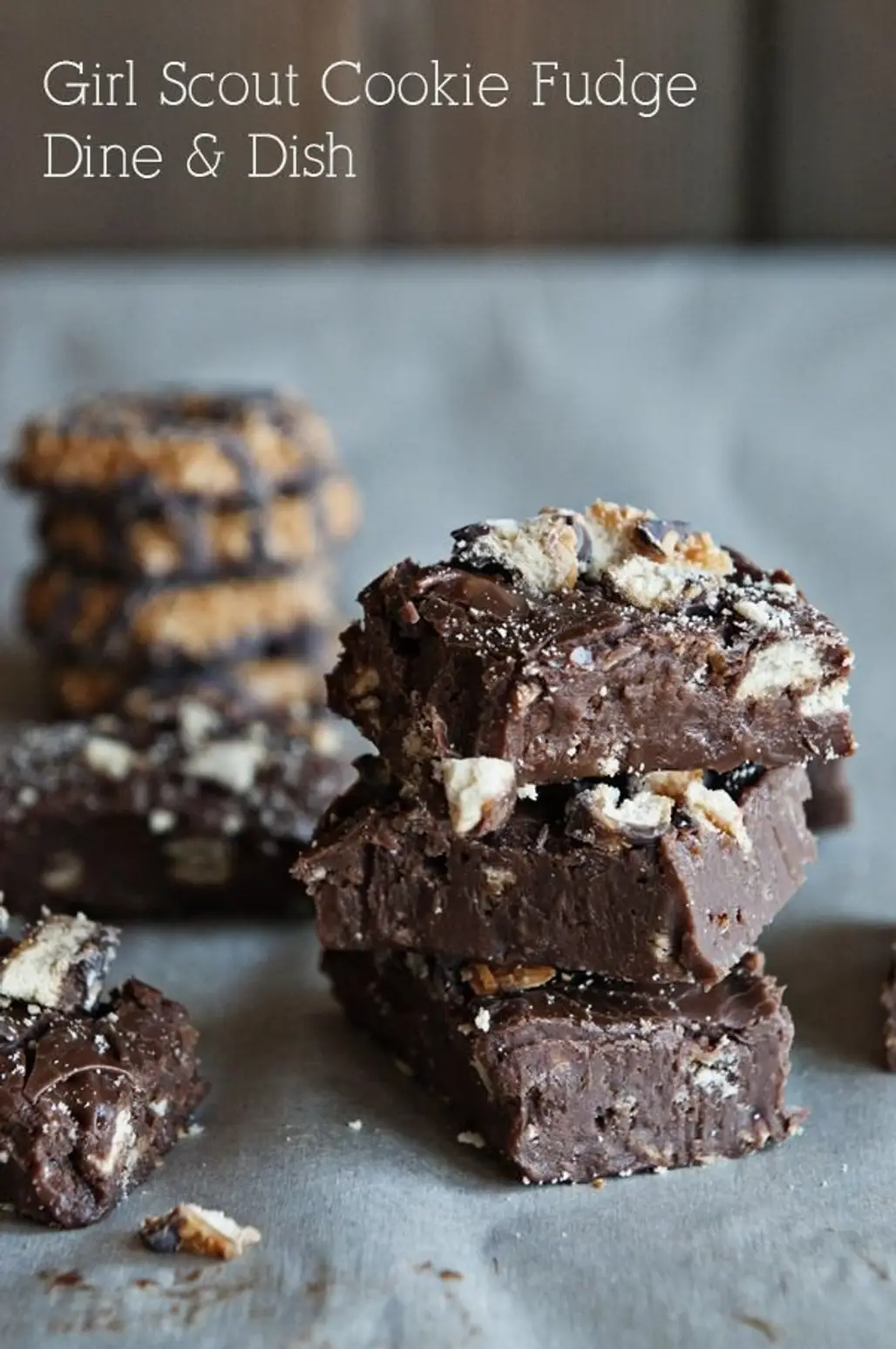 Girl Scout Cookie Fudge