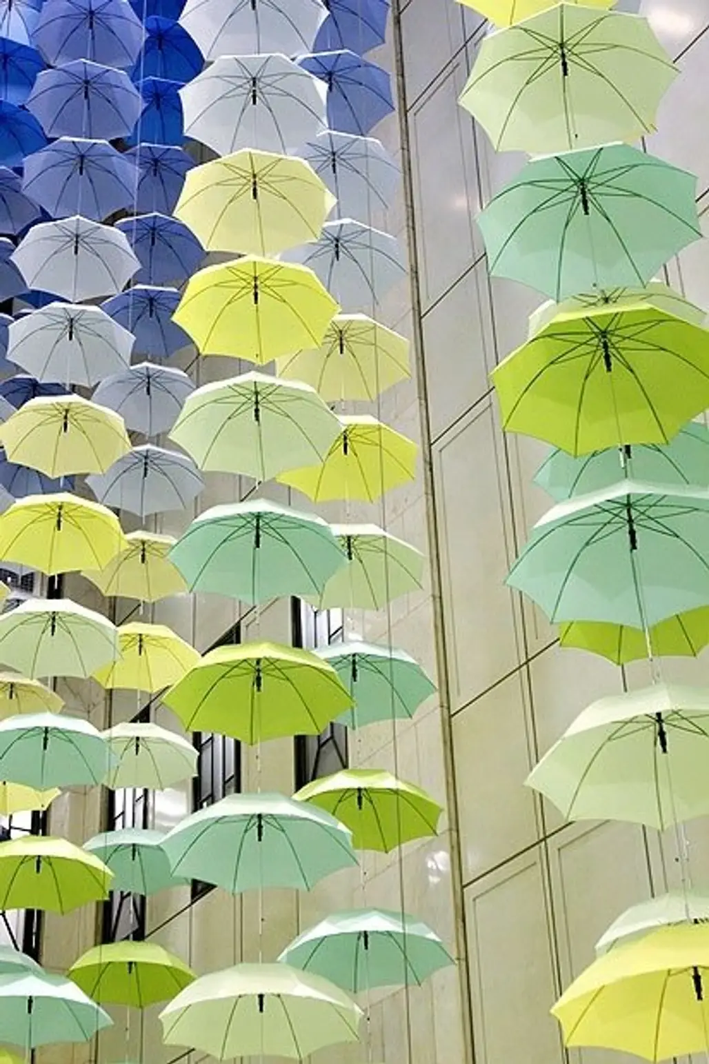 Umbrellas on Parade
