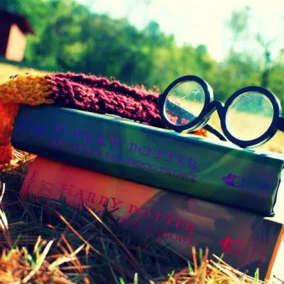 7 Magical Books Harry Potter Fans Will Love ...