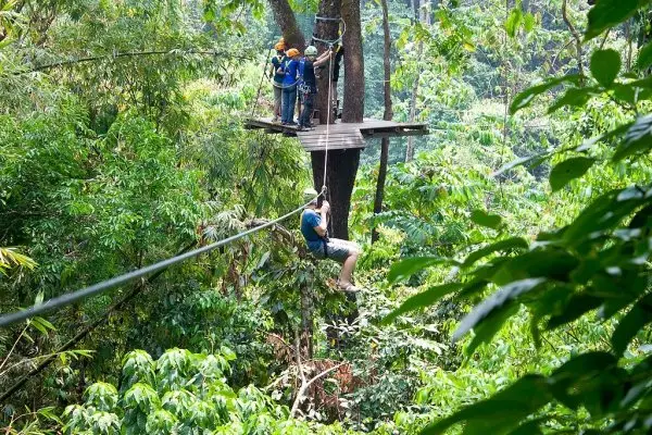 9 Ziplines for a Thrilling Ride ...
