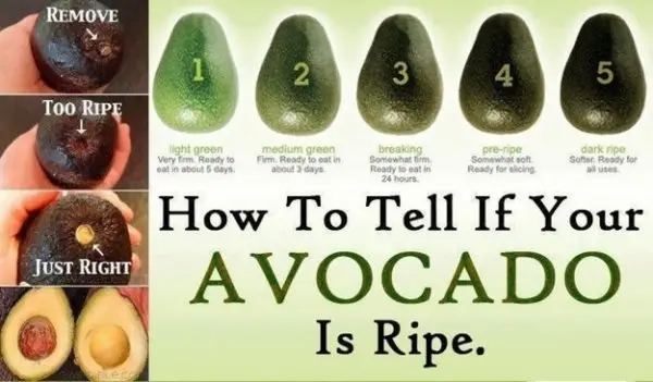 Never Buy an over-ripened Avocado Again