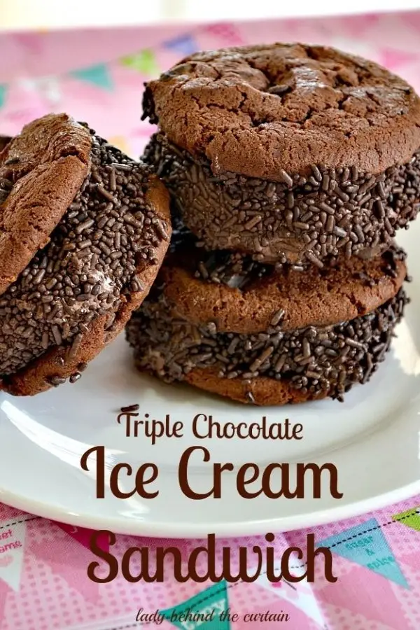 Triple Chocolate Ice Cream Sandwich